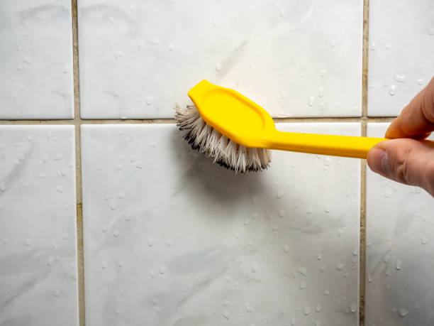 Best Attic Mold Removal  in Washington, UT